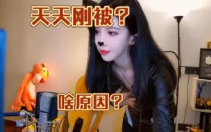 Download Video: 为什么呆妹儿最爱玩钢背兽？几十秒给你答案