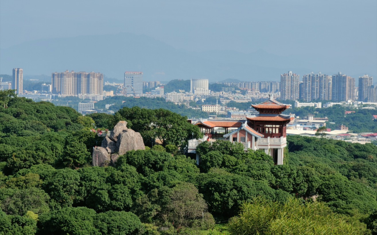 周末结伴三五好友品茶论道漳州荔枝海罗汉岩人生何其快哉