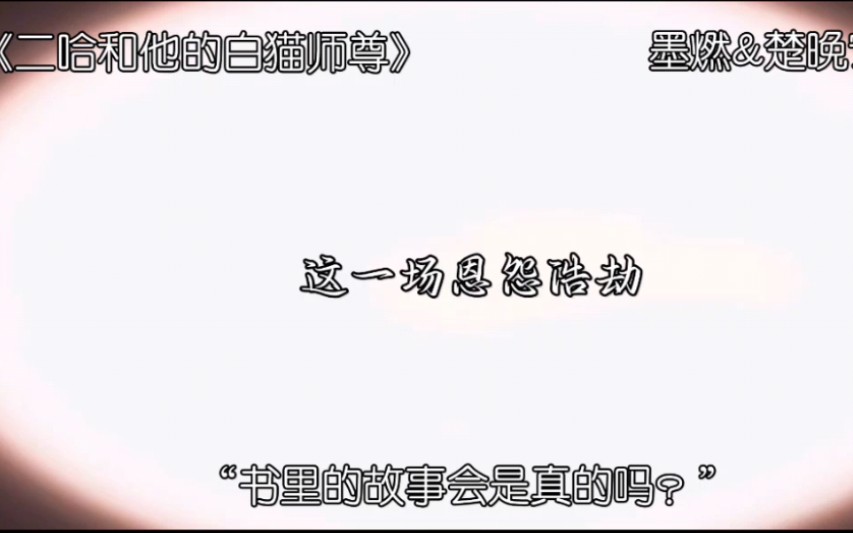 二哈和他的白猫师尊哔哩哔哩bilibili