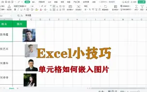 Download Video: excel小技巧：表格嵌入图片。升职加薪系列