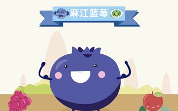 【MG动画】贵州省麻江县蓝莓节科普动画哔哩哔哩bilibili