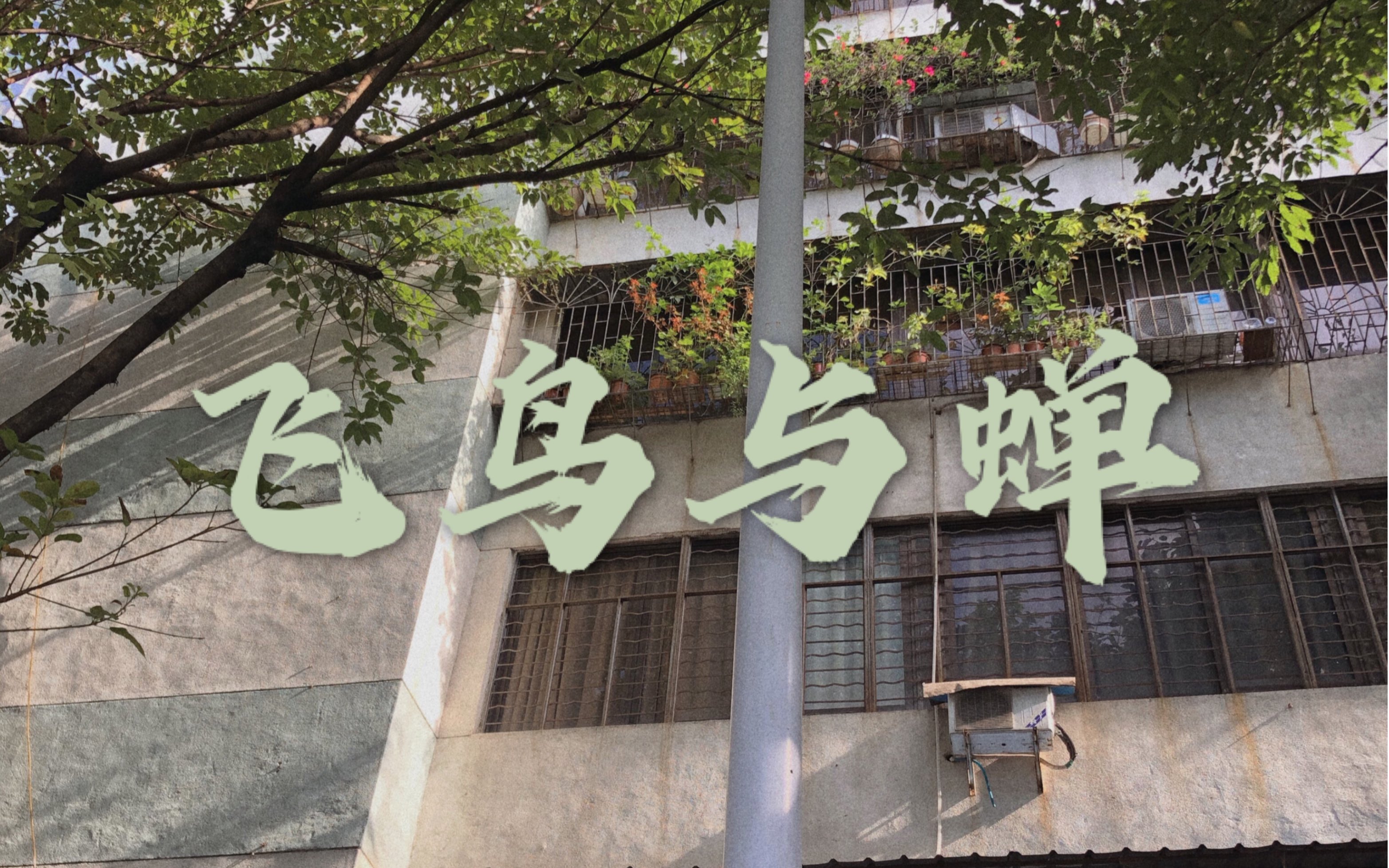 飞鸟与蝉(cover:任然)