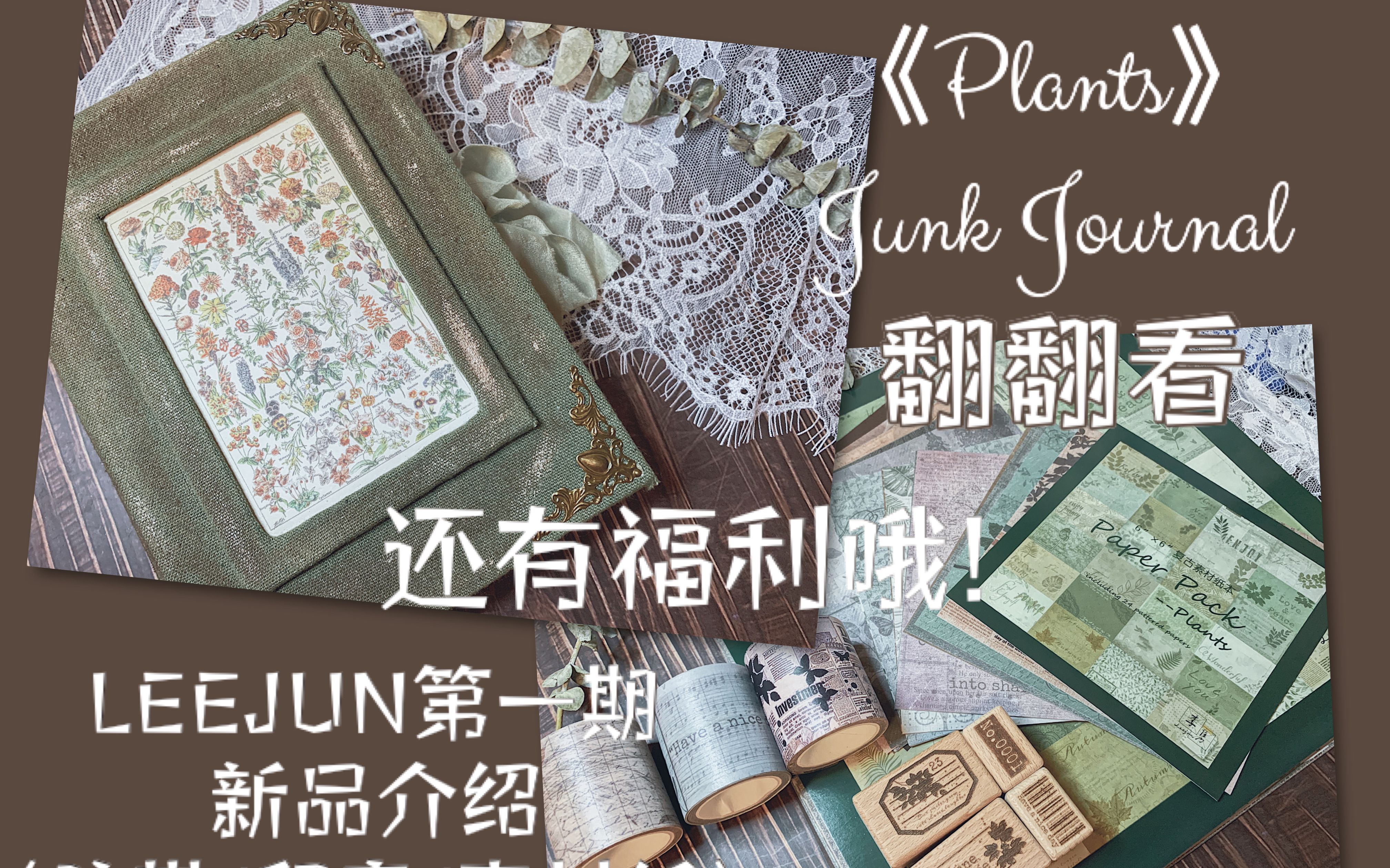 【新品&福利】LEEJUN第一期新品介绍/植物主题Junk Journal翻翻看/手帐福利/印章/胶带/素材纸本哔哩哔哩bilibili