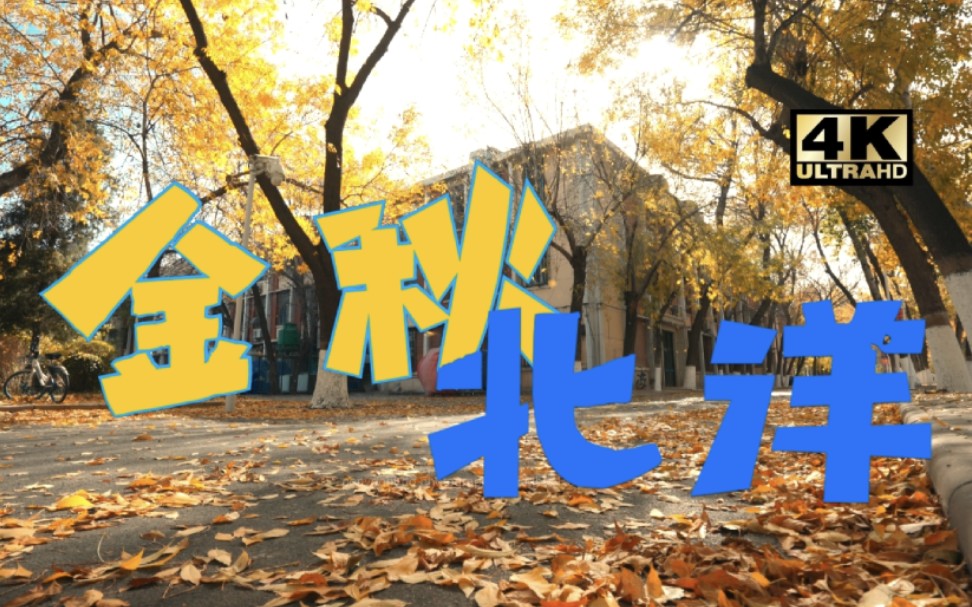 [图]【4k绝美秋景】听！是北洋秋天的声音｜治愈向｜天津大学