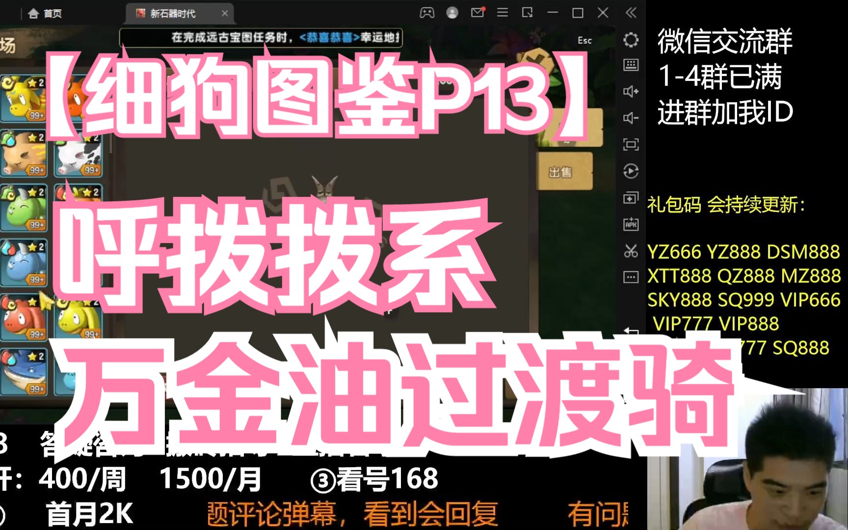 细狗图鉴P13!呼拨拨系 万金油过渡骑宠