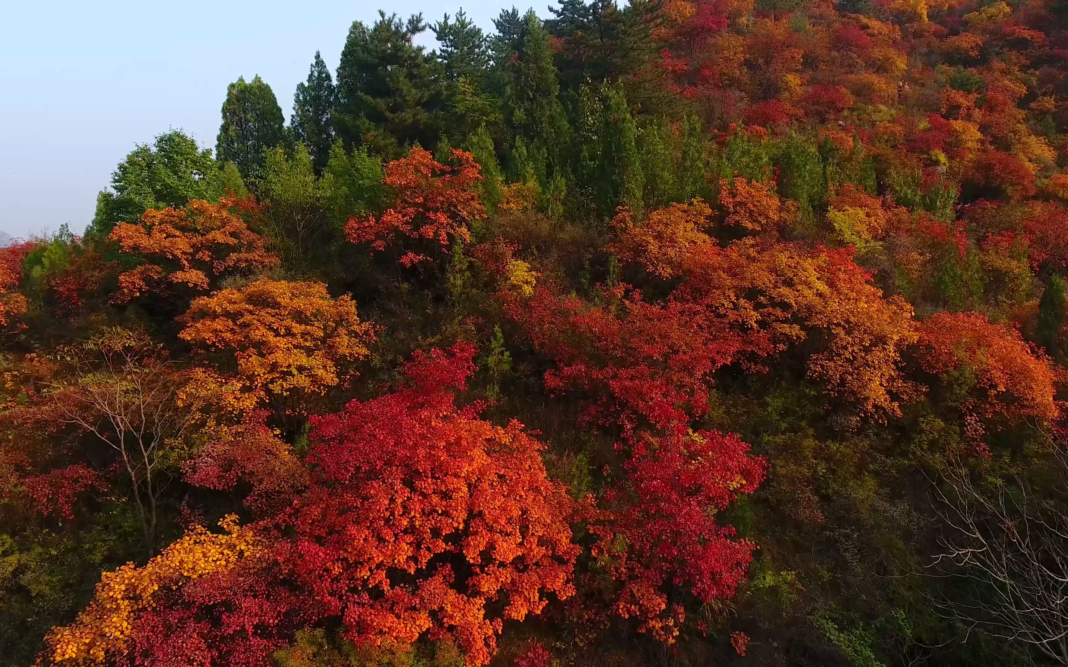 太行山秋景图片