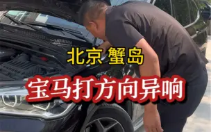 Download Video: 宝马打方向有干磨的异响！#宝马 #宝马打方向异响 #底盘异响