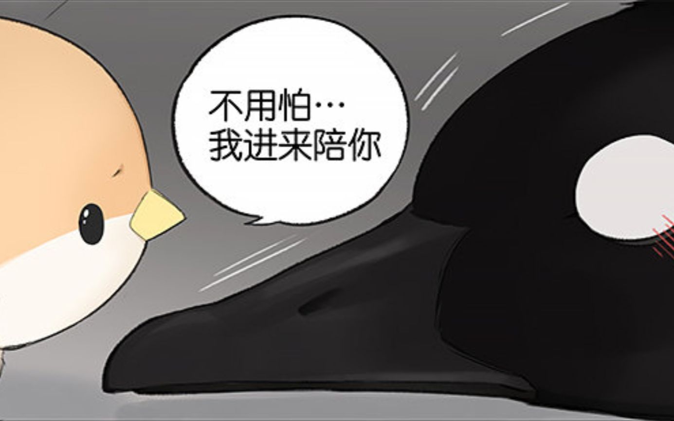 【有声漫画】南方的鸟和北方的鸟 3.0哔哩哔哩bilibili