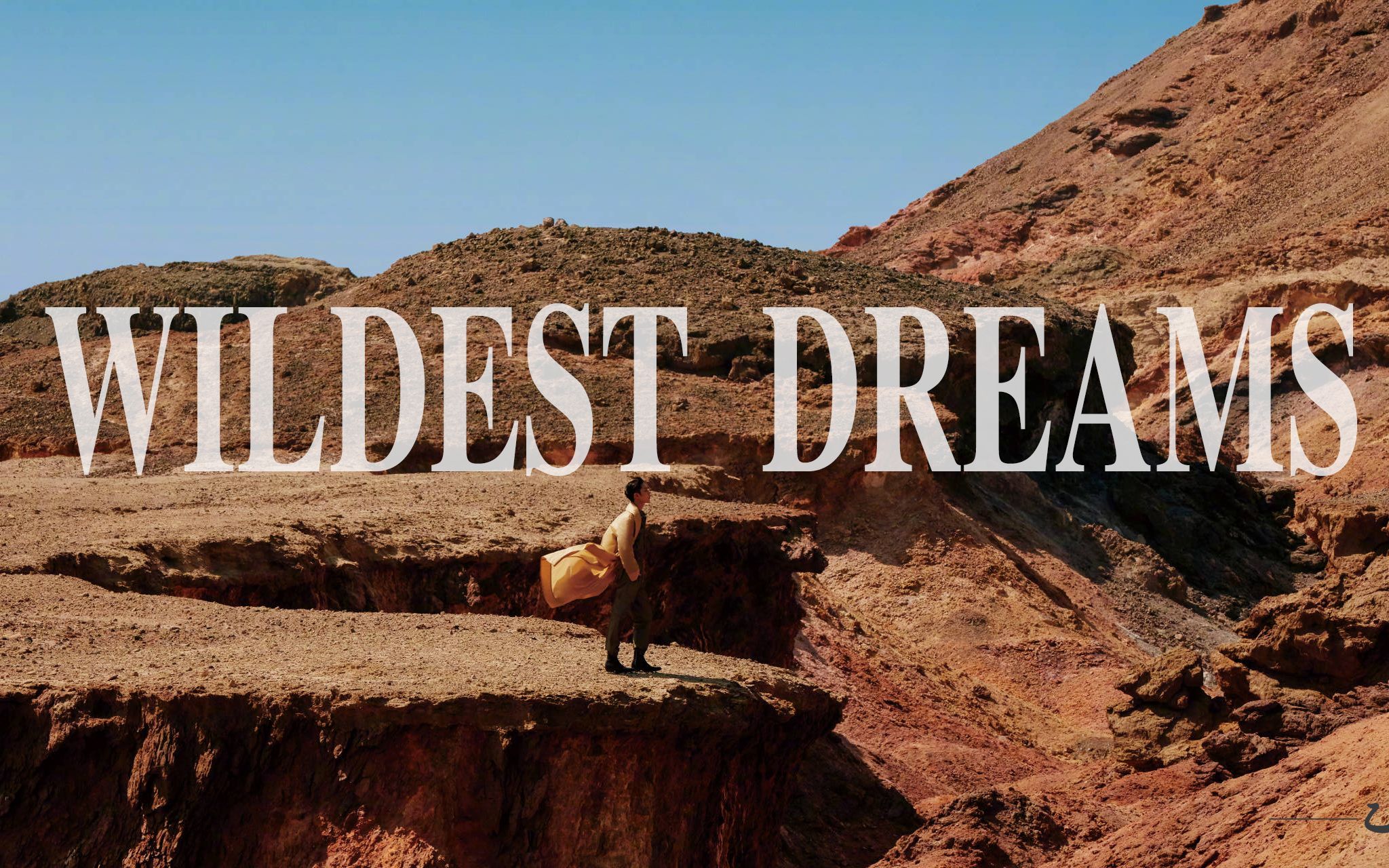 【肖战】wildest dreams