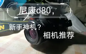 Download Video: 新手相机推荐，尼康d80