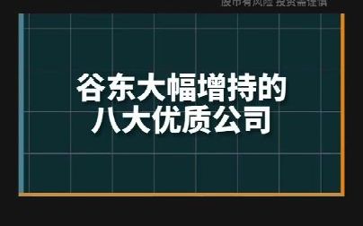 近期大股东增持的股票,这些公司获重要股东大手笔增持(名单)哔哩哔哩bilibili