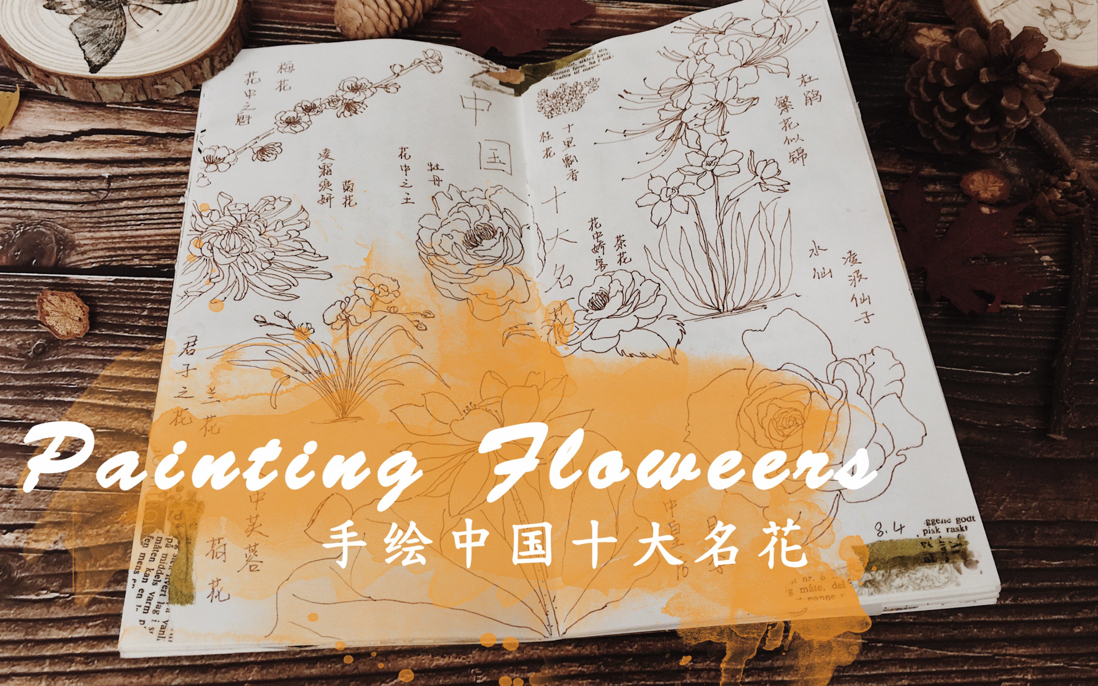 【镜子】手帐vol.2 | 手绘系列 | Painting Flowers |手绘中国十大名花哔哩哔哩bilibili