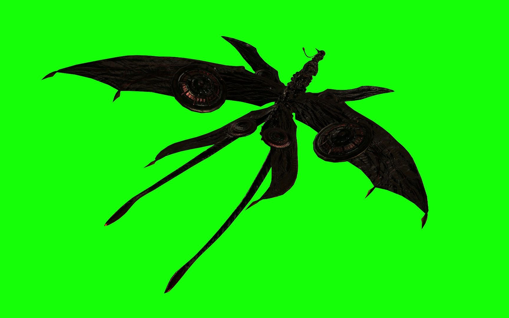 鸟怪 蝴蝶兽 4k绿幕视频素材