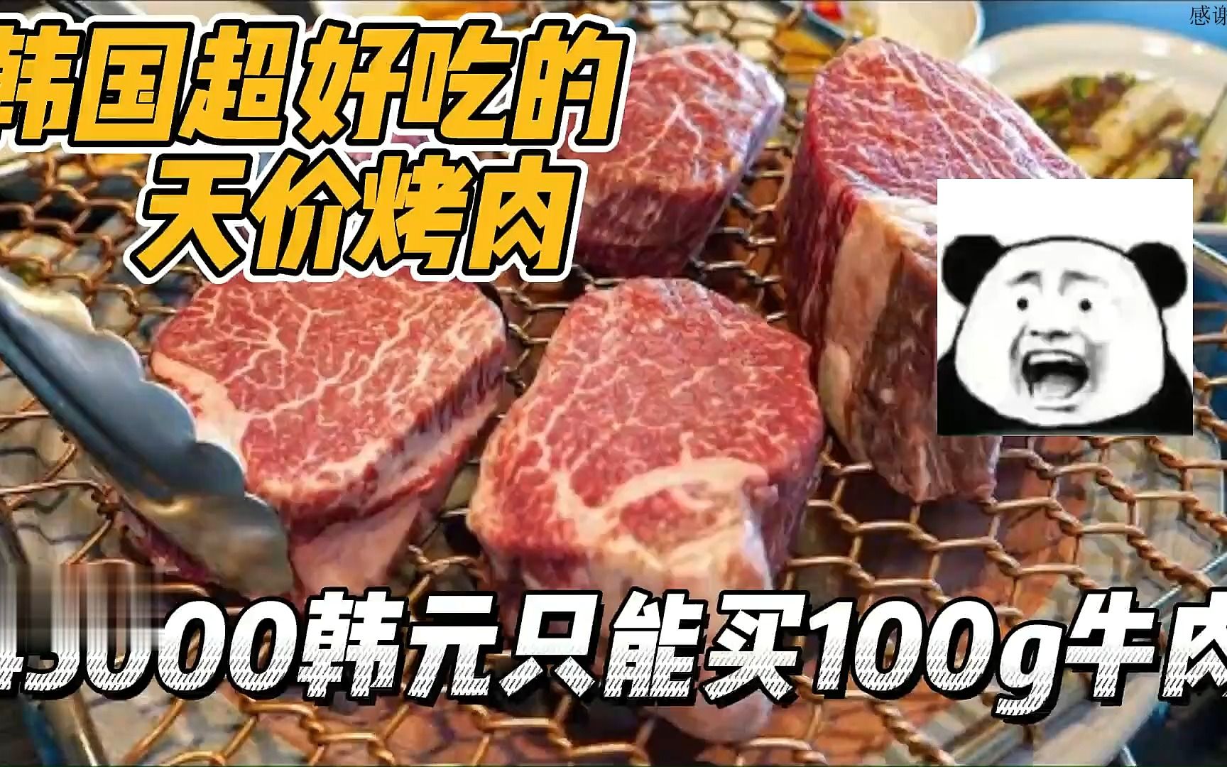 韩国的天价烤肉店,45000韩元只能买100克牛肉,难怪他们吃不起肉哔哩哔哩bilibili