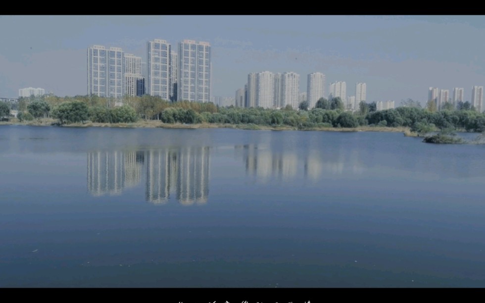 [图]其实我们都知道飞鸟和夏蝉是两种不同的生物，也许过了这个夏天，蝉会死去，候鸟会南飞，终不再相见……