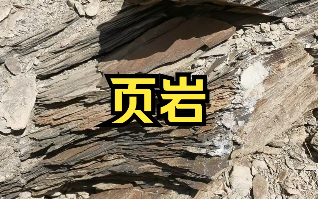 河流沉积物中的页岩哔哩哔哩bilibili