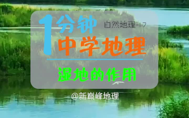 《每天1分钟 地理考满分》019湿地的作用哔哩哔哩bilibili