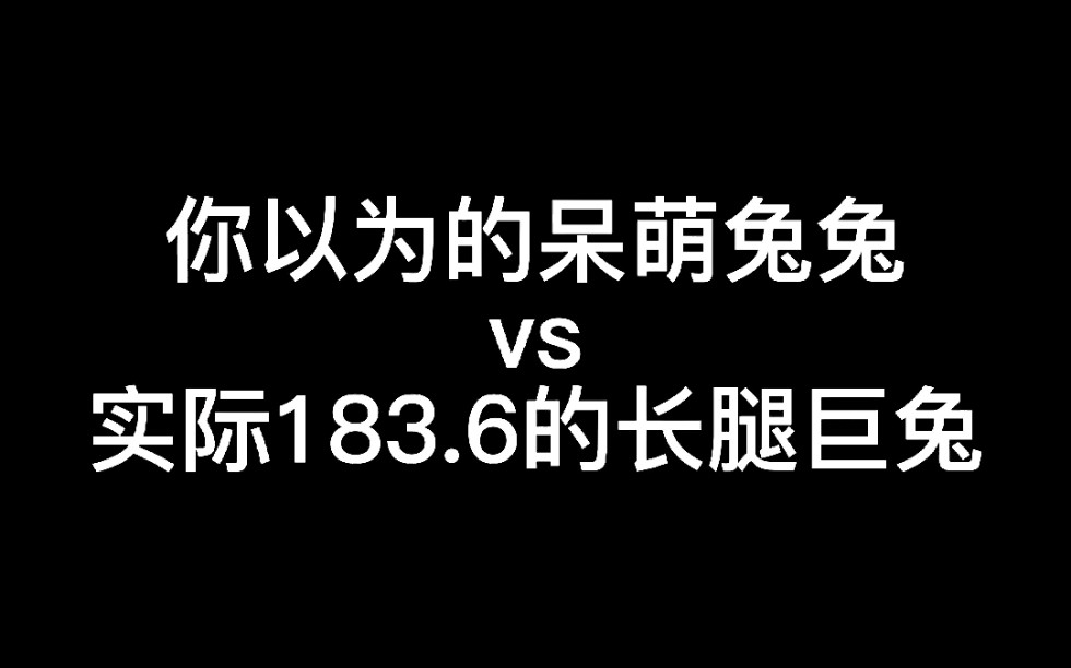 你以为很小,实际上大到超出你想象的兔兔哔哩哔哩bilibili