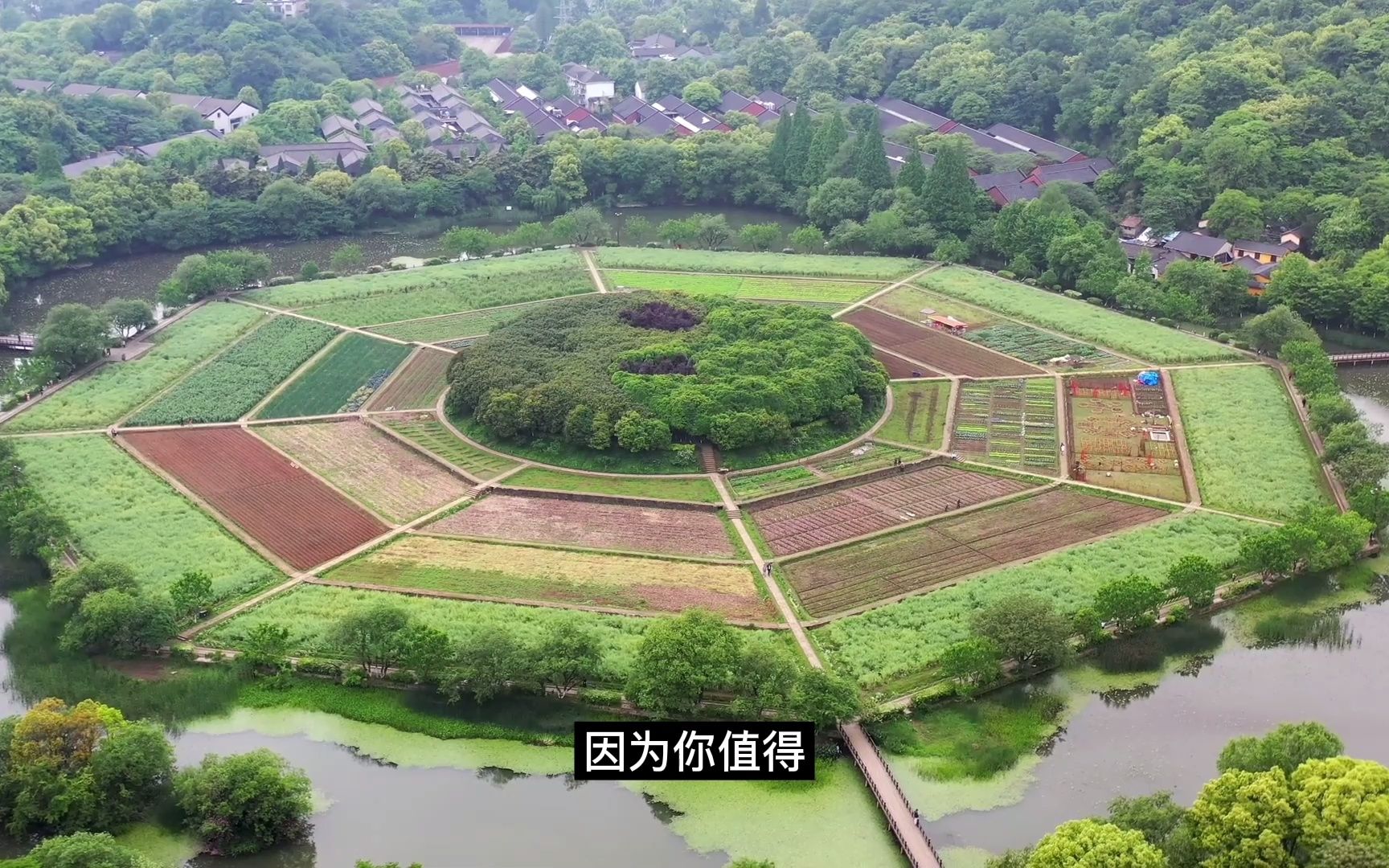 [图]看到这条视频，说明你否极泰来，你的霉运已清零，你的好运已满盆，善良的您一定会得到上天的宠佑，因为你值得！请点赞确认。。