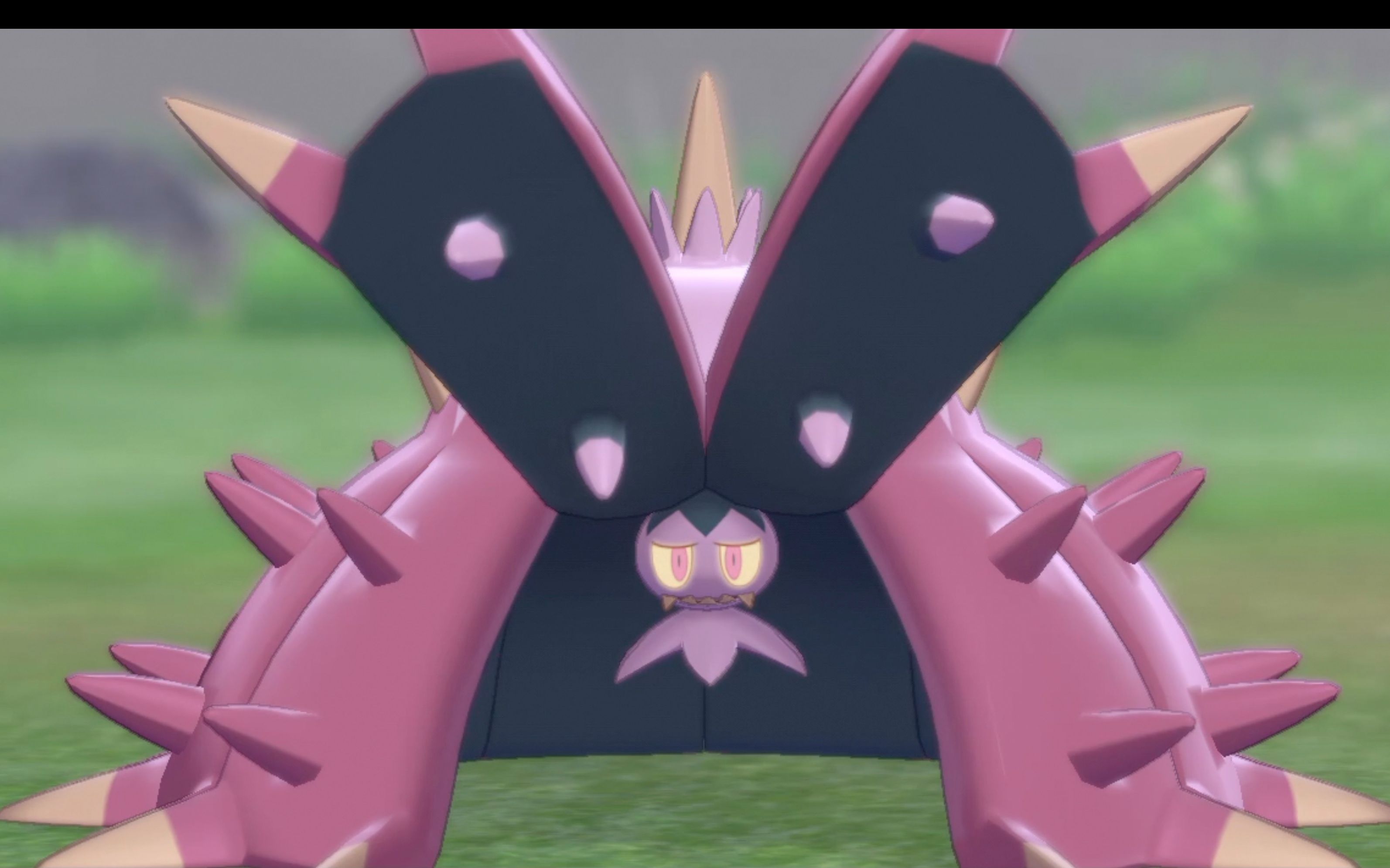 超坏星,想和吼鲸王,太阳珊瑚贴贴,证章闪,不仁不