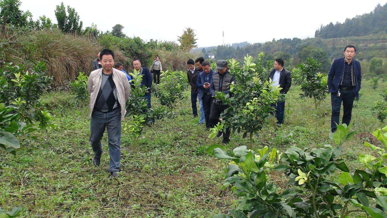 [图]中央电视台的《致富经》能让人致富吗？