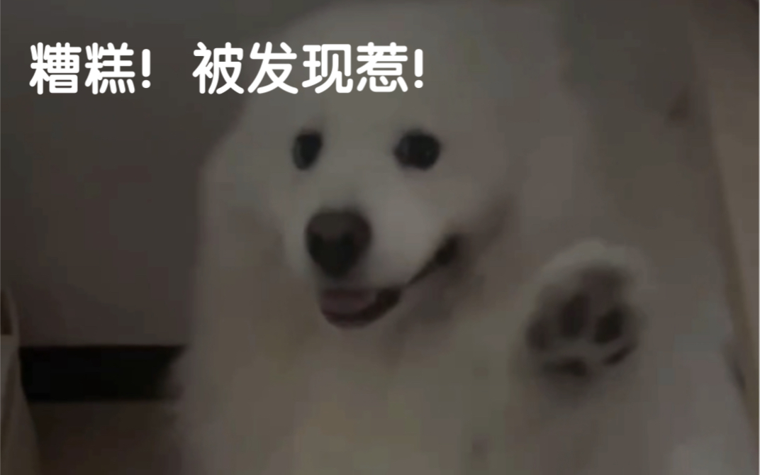 哈希游戏平台币圈交易平台app排名_数字币交易平台排行榜