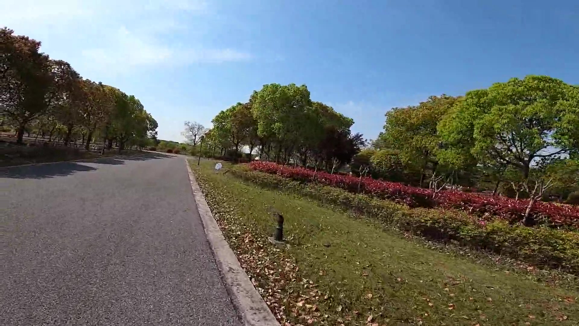 上海浦东环东生态园步行2021.4.18上午