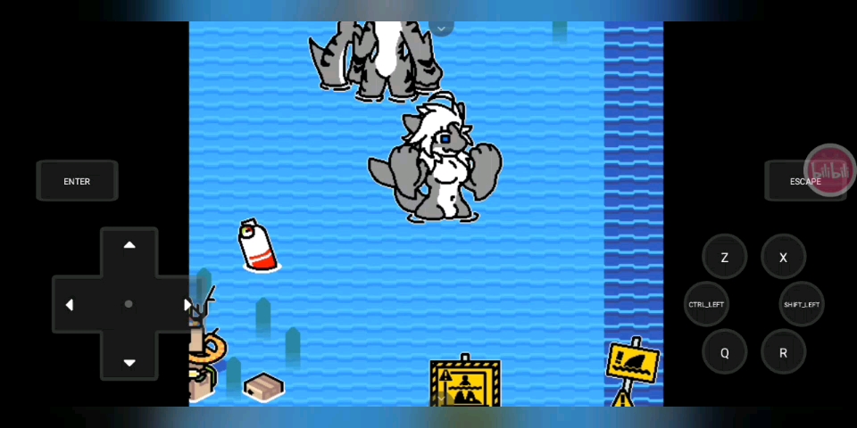 兽化实验室,原来猫鲨还有母的