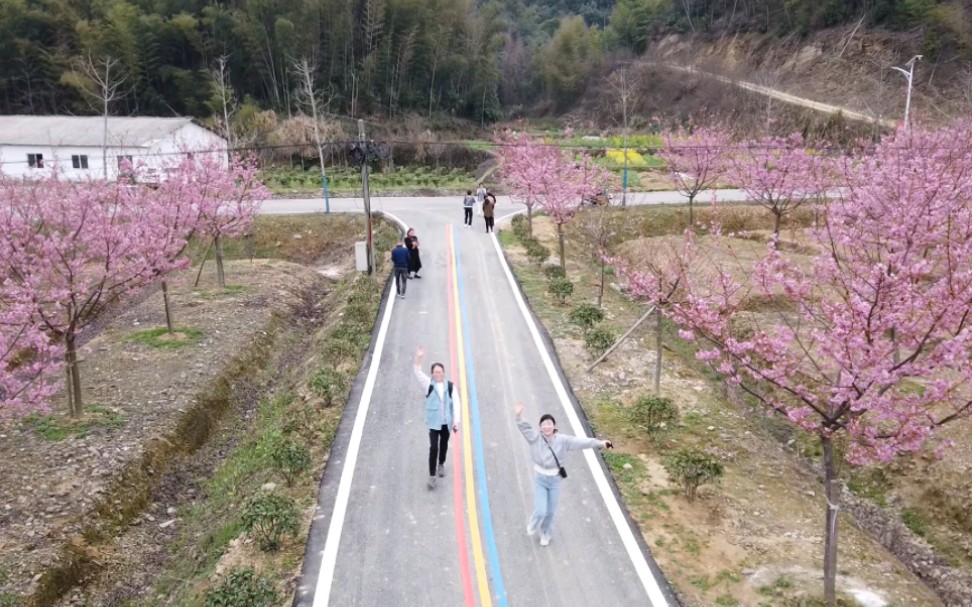 云溪双花村图片