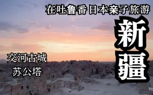 Download Video: 【日中字幕】日本亲子在吐鲁番旅游！