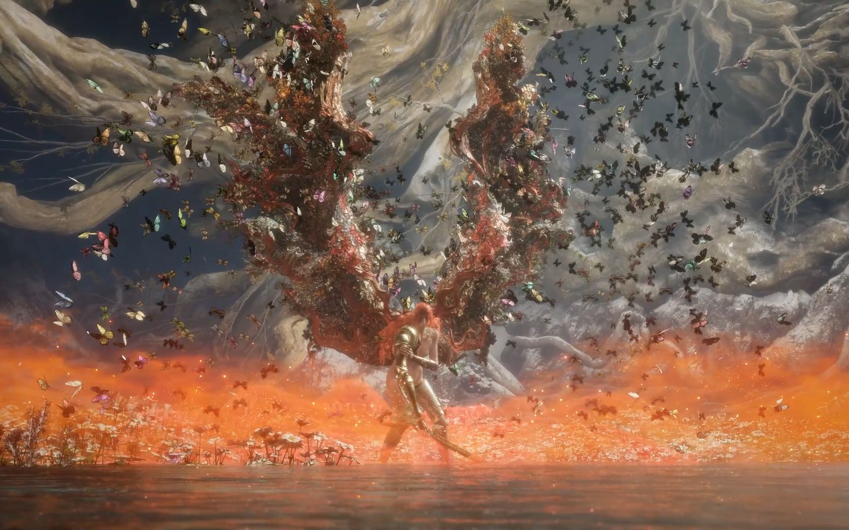 i am malenia, blade of miquella