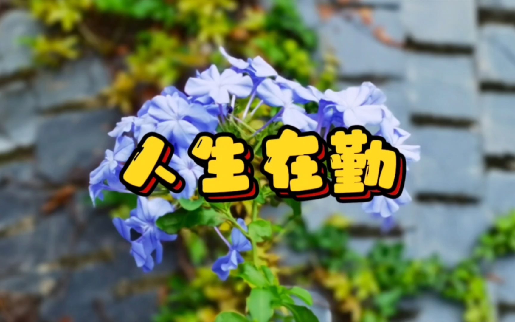 一勤天下无难事一懒世间万事休勤是最好的养生