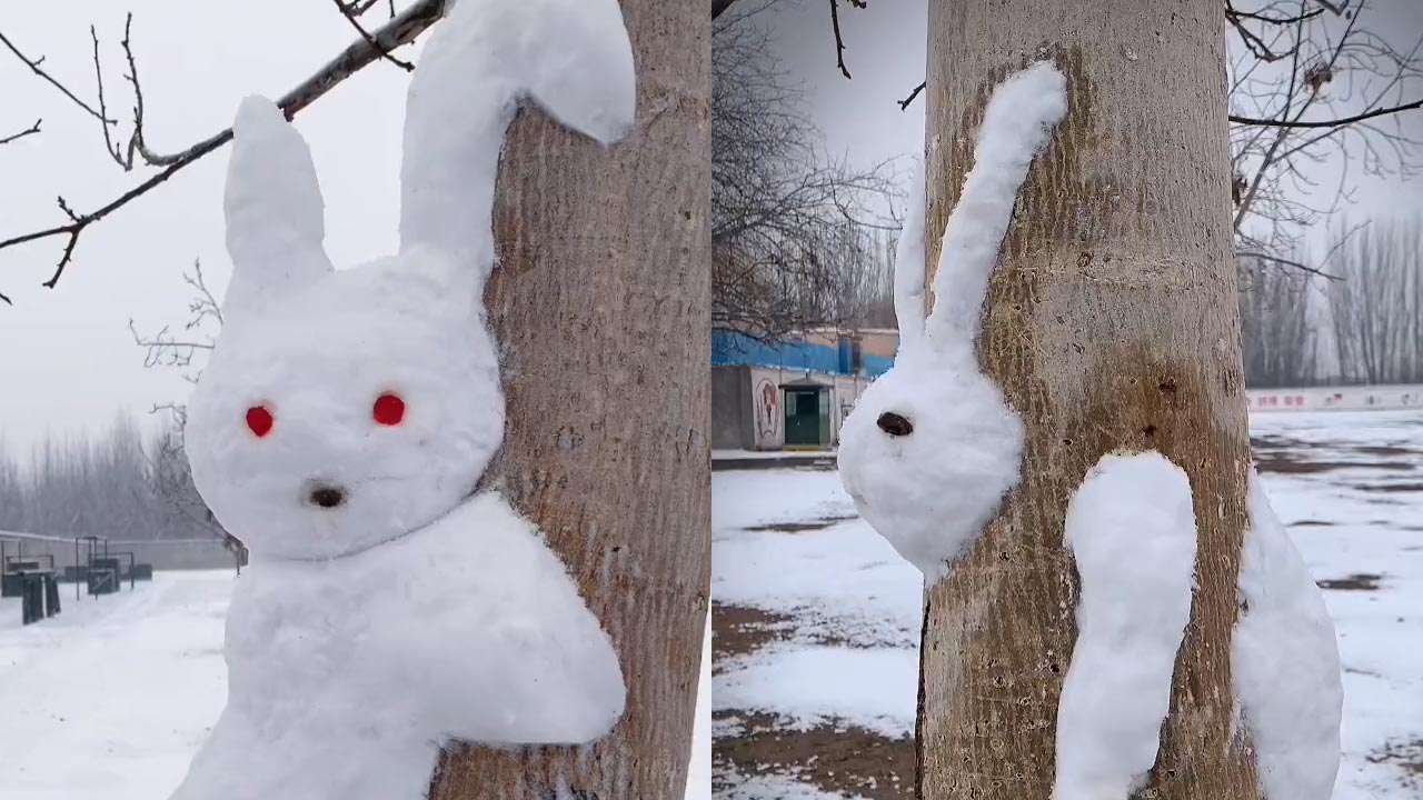 女生用雪捏卡树里造型兔子萌翻,网友直呼太有才