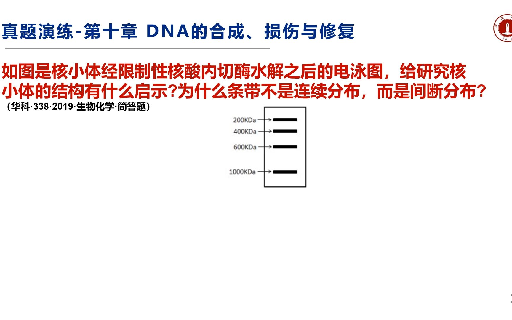 [图]生物化学每日一题（自主命题考研真题） DNA的合成、损伤与修复