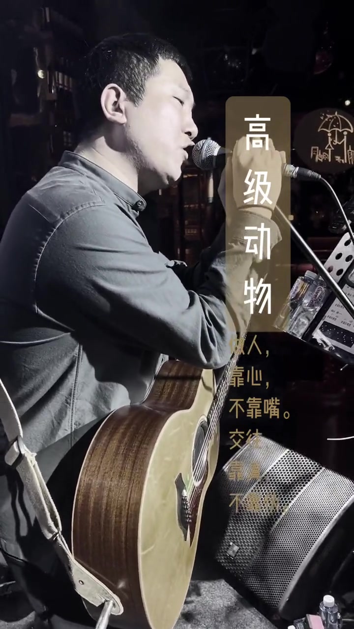 你听过高级动物吗 高级动物窦唯 摇滚 窦唯 魔岩三杰 前奏一响拾起