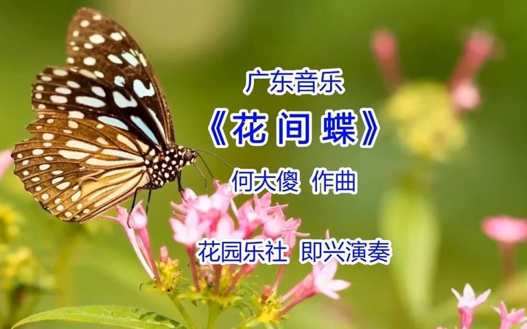 [图]广东音乐《花间蝶》（花园乐社 牛年岁末即兴演奏 20220117）