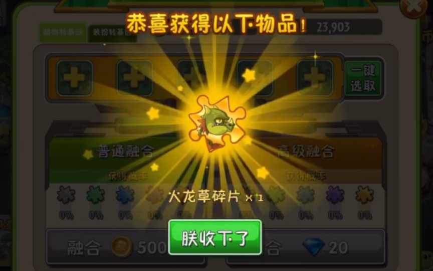 五阶火龙草更近一步