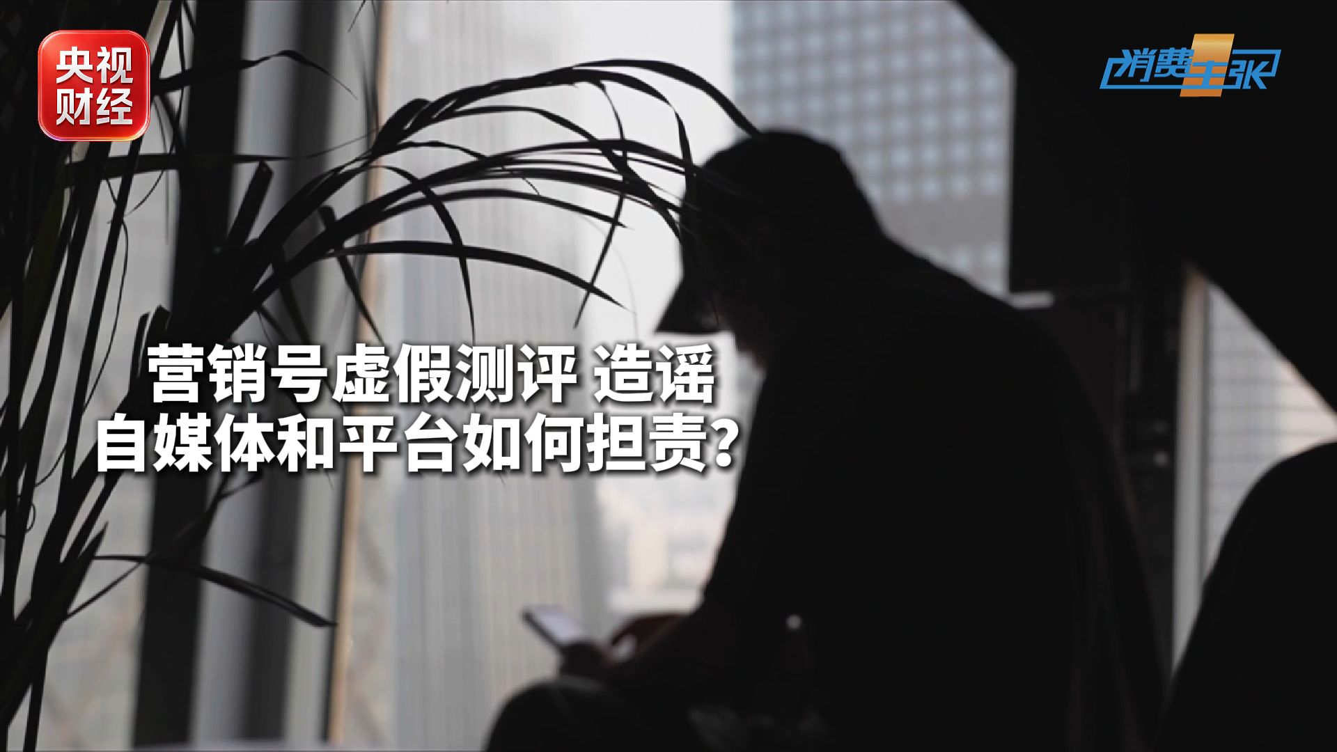 央视曝光汽车非标测评误导消费者 车评造假严重可判刑 营销号标注个人体验不是免责声明