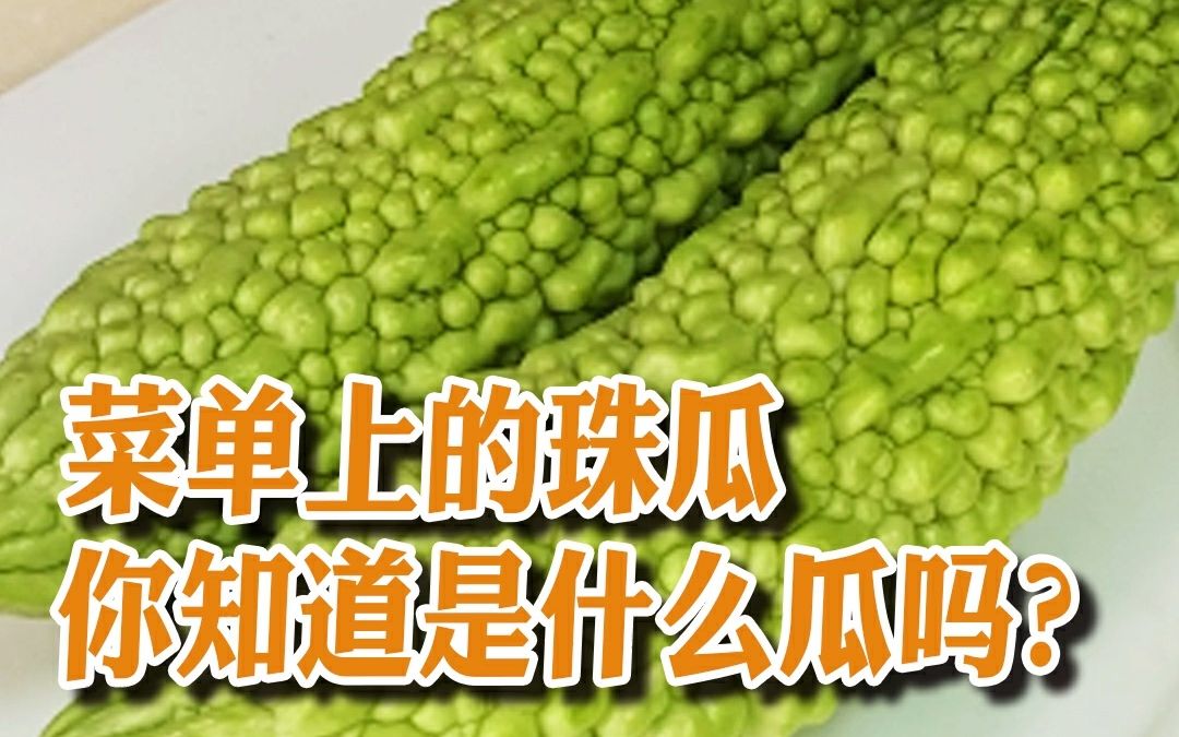 【潮菜叶飞】你们知道珠瓜是什么瓜吗?哔哩哔哩bilibili