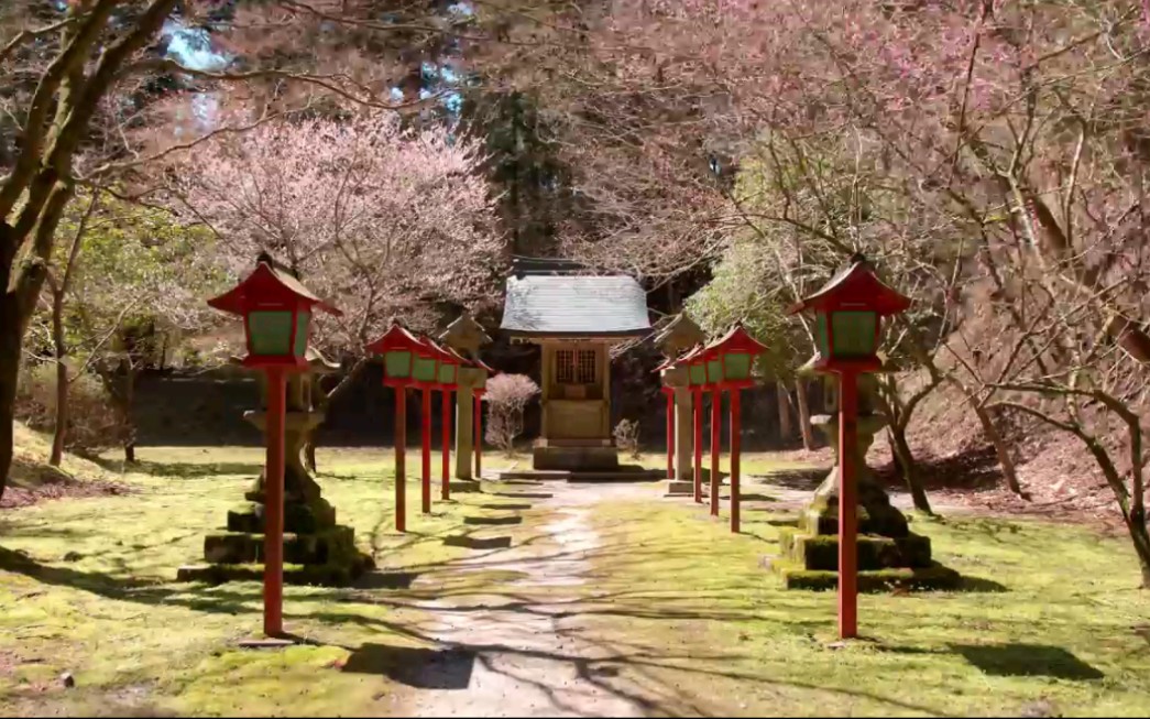 日本东京比睿山延历寺的散步哔哩哔哩bilibili