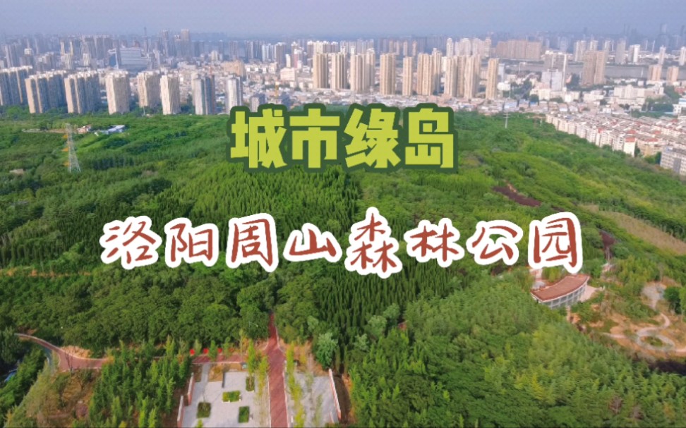 洛阳周山森林公园地址图片