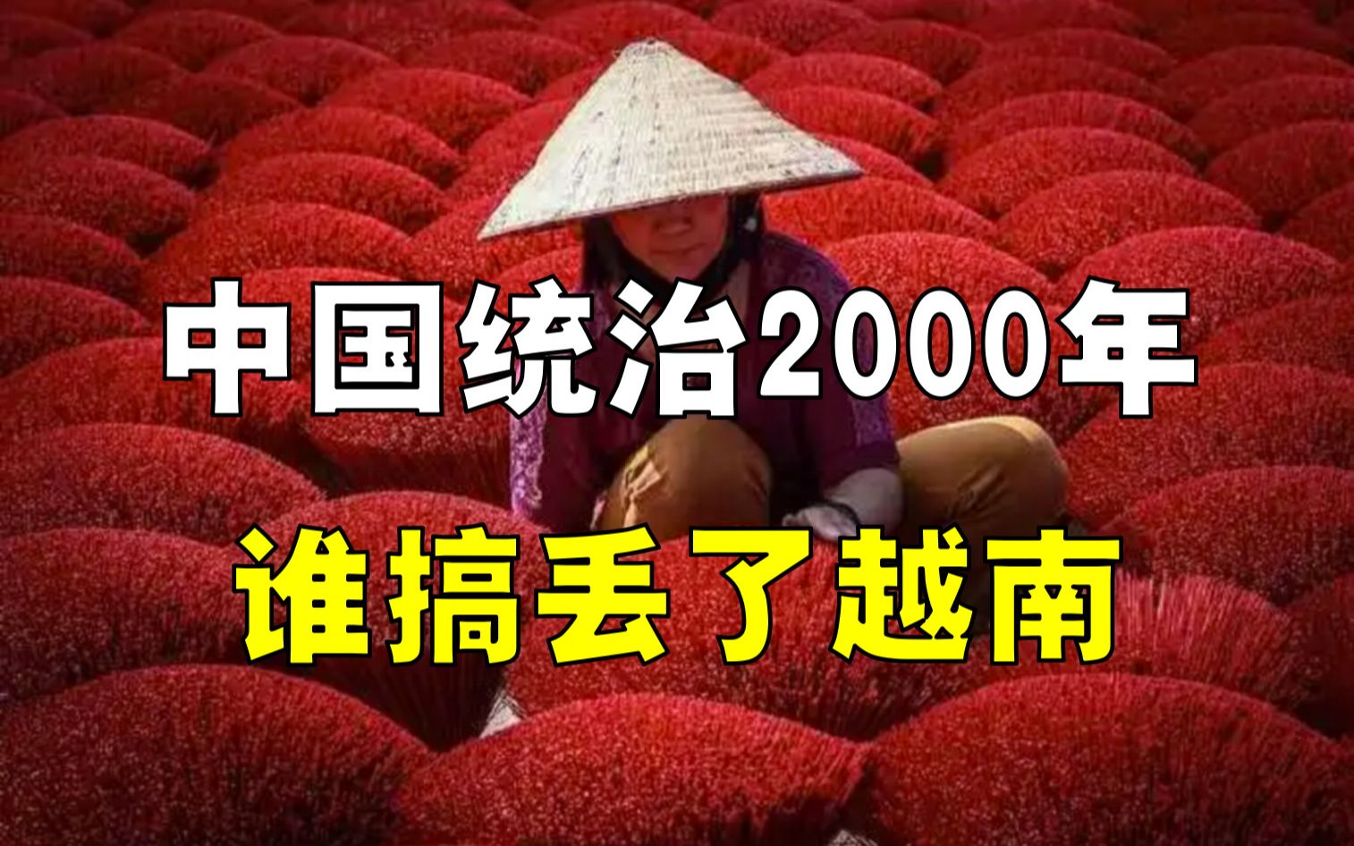 [图]中国统治越南2000年，被谁葬送？