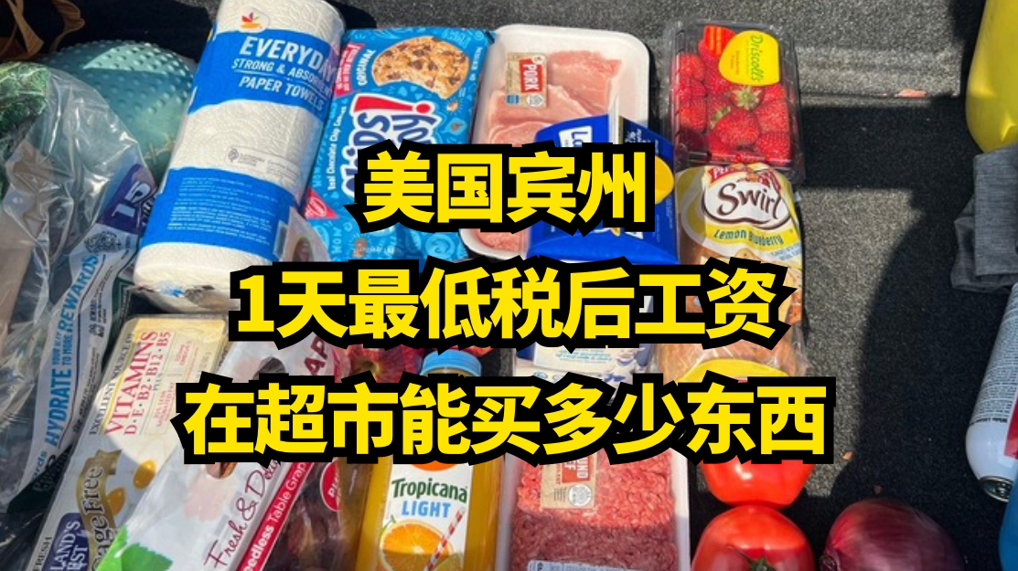 美国摇摆州宾夕法尼亚,1天最低税后工资的购买力,到底有多强?哔哩哔哩bilibili