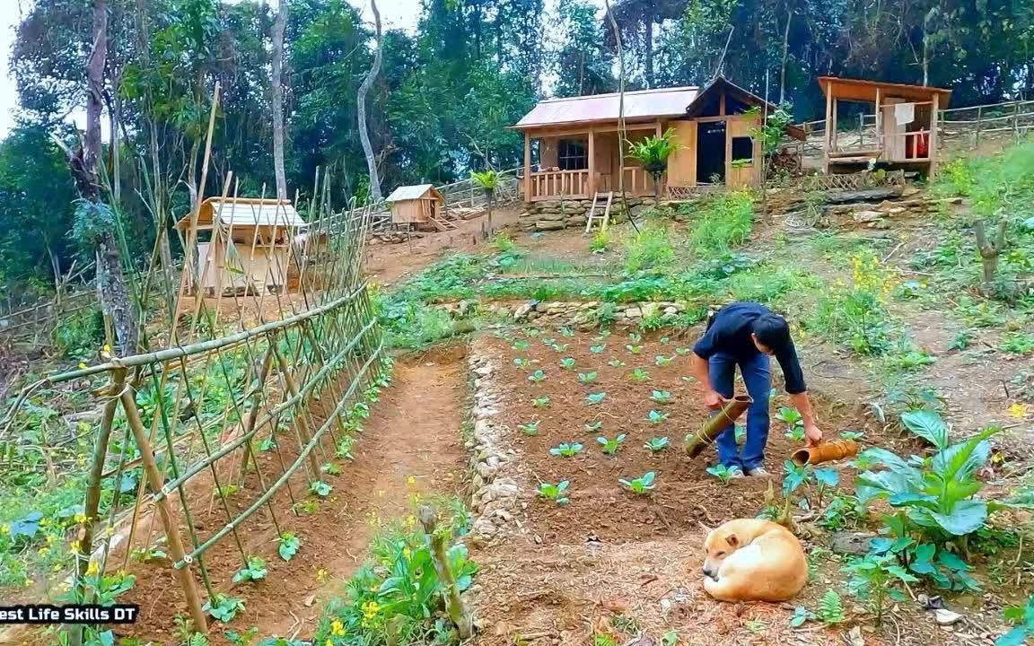 [图]热带雨林生存-荒野求生，第220集-阴沉沉的一天，在最恶劣的天气条件下挖梯田，野外生存，