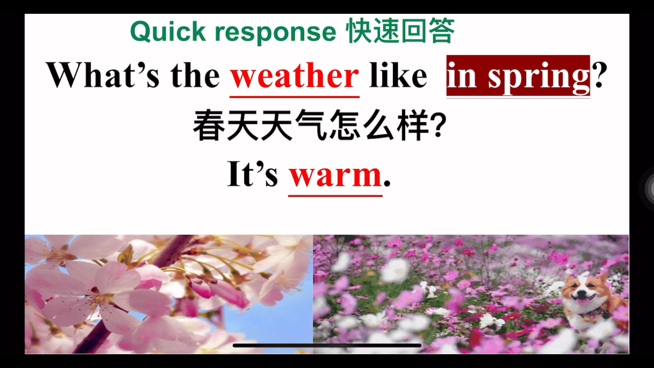 [图]外研社七年级上册英语starter部分公开课课件 M4U3 What’s the weather like？