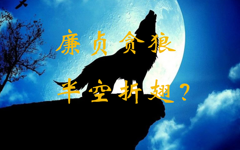 廉贞贪狼,半空折翅?政界巨人,流芳百世哔哩哔哩bilibili