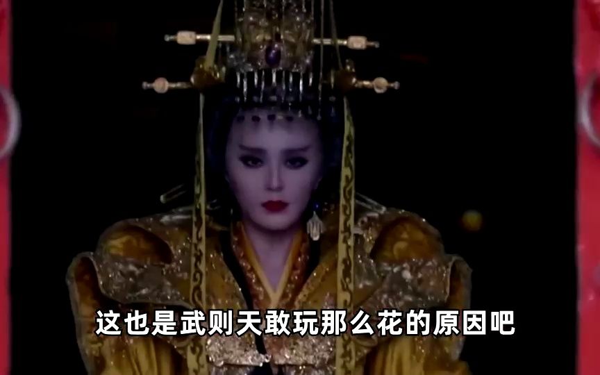 千古女帝武则天,为何要大肆豢养男宠?哔哩哔哩bilibili