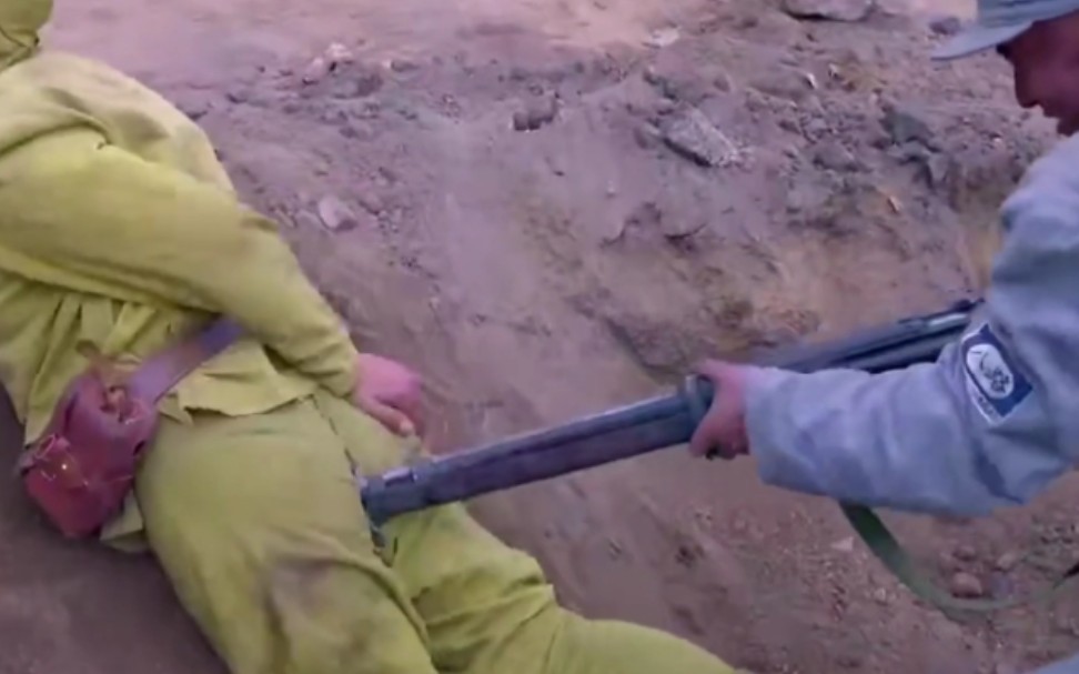 活动  【搞笑03】当抗日遇上了菊 花