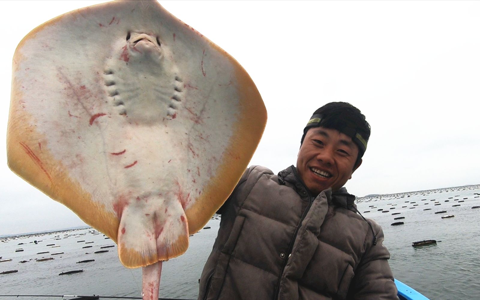 阿锋钓到超大魔鬼鱼,拉上来一看比锅还大,太刺激了