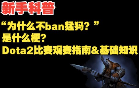 【新手科普】“为什么不ban猛犸”是什么梗&Dota2比赛的基础观赛知识DOTA2